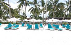 3 Days 2 Nights tour in Bohol