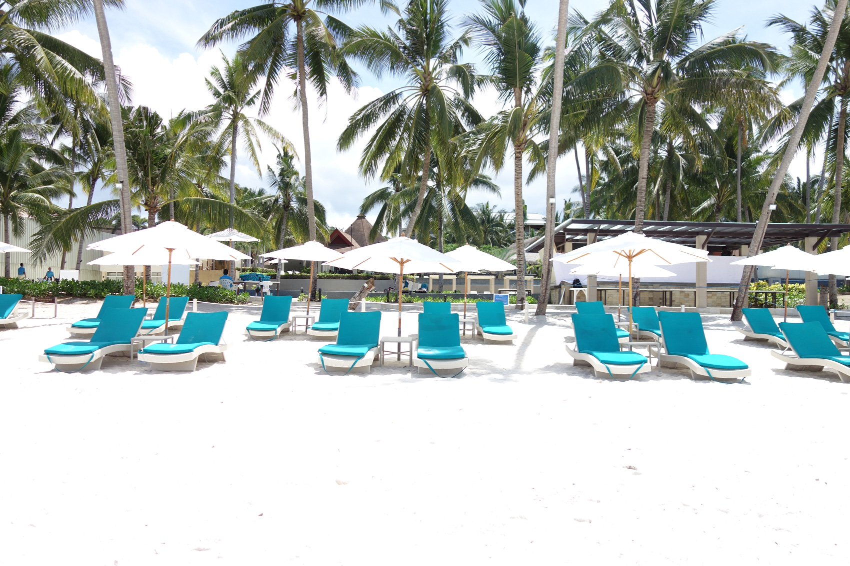 3 Days 2 Nights tour in Bohol