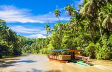 Bohol Island Day Trip and Sightseeing Tour