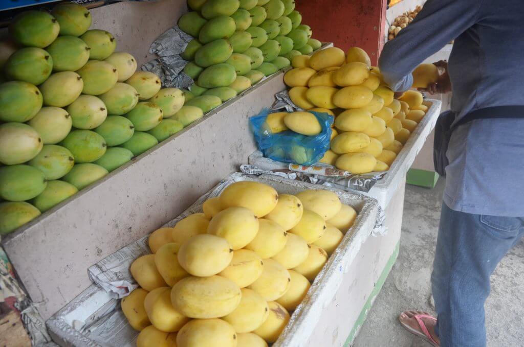 Cebu mango