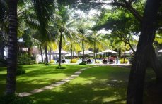 large-cruiser-and-a-little-celebrity-island-hopping-a-cebu