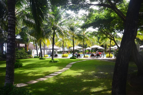 large-cruiser-and-a-little-celebrity-island-hopping-a-cebu