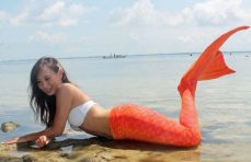 Transform-to-mermaid tour