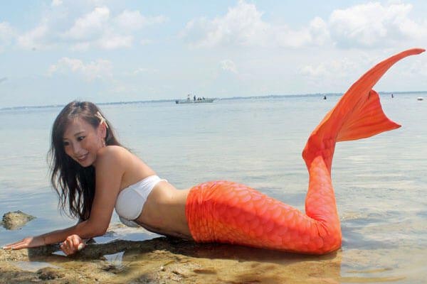 Transform-to-mermaid tour