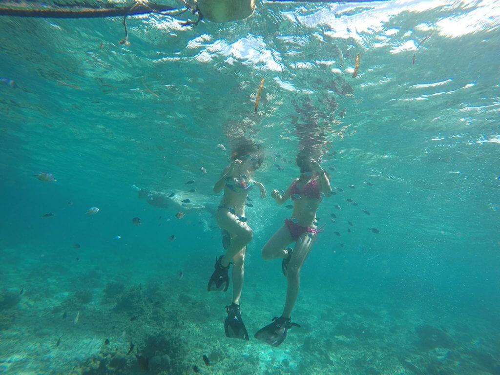 Snorkel